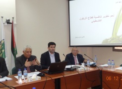 الأيام:  دعوة إلى اتخاذ إجراءات لتطوير تنافسية بقطاع الزيتون
