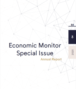 (84) Economic Monitor - Special Issue