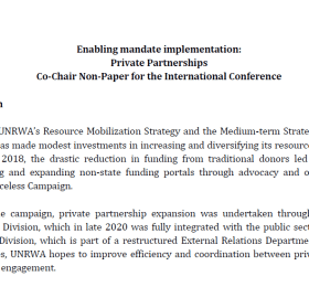 Enabling mandate implementation: Private Partnerships Co-Chair Non-Paper for the International Conference