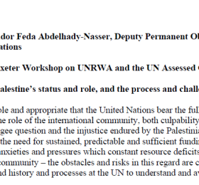Presentation by Ambassador Feda Abdelhady-Nasser, Deputy Permanent Observer of the State of Palestine to the United Nations
