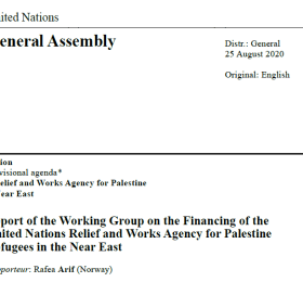 Report of the Working Group on the Financing of UNRWA