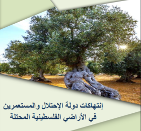 Summary of the most prominent Israeli violations in the Palestinian territories during the year 2020