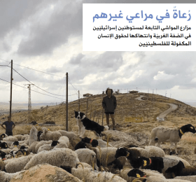 رعاة في مراعي غيرهم: مزارع المواشي التابعة لمستوطنين إسرائيليين في الضفة الغربية ونتهاكها لحقوق الإنسان المكفولة للفلسطينيين