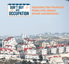 Exposing the Financial Flows into the Illegal Israeli Settlements - Full Report