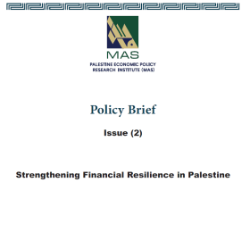 Strengthening Financial Resilience in Palestine - Policy Brief (2)