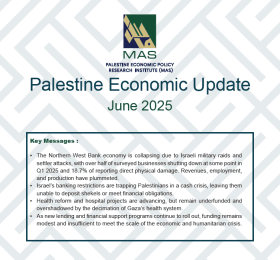 Palestine Economic Update - June 2025