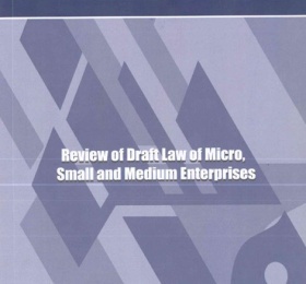 Review of Draft Law on Micro, Small and Medium Enterprises.