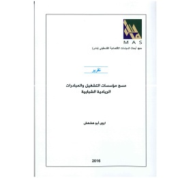 مسح مؤسسات التشغيل والمبادرات الريادية الشبابية