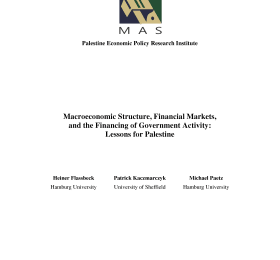 Macroeconomic Structure, Financial Markets, and the Financing of Government Activity: Lessons for Palestine