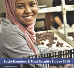 Socio-Economic &amp; Food Security Survey 2018