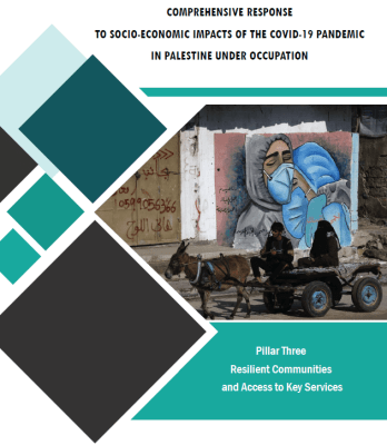 Comprehensive Response to Socio-Economic Impacts of The Covid-19 Pandemic in Palestine Under Occupation  - Resilient Communities and Access to Key Services ( Pillar 3 )