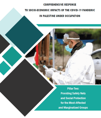 Comprehensive Response to Socio-Economic Impacts of The Covid-19 Pandemic in Palestine Under Occupation - Providing Safety Nets and Social Protection for the Most-Affected and Marginalized Groups (Pillar 2)