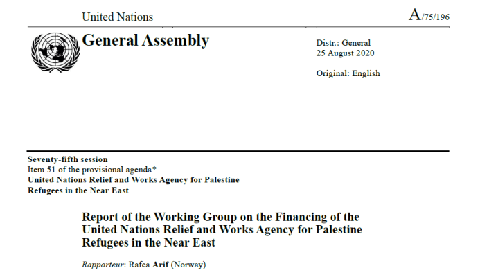 Report of the Working Group on the Financing of UNRWA