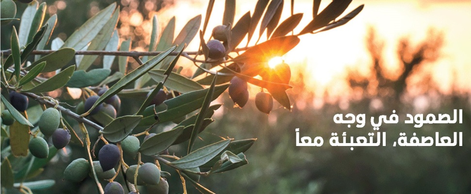 ندوة دولية - أفاق التنمية في فلسطين ( 12 سبتمبر )