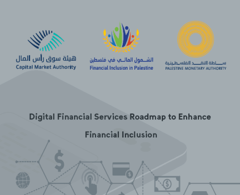 Digital Financial Services Roadmap to Enhance Financial Inclusion