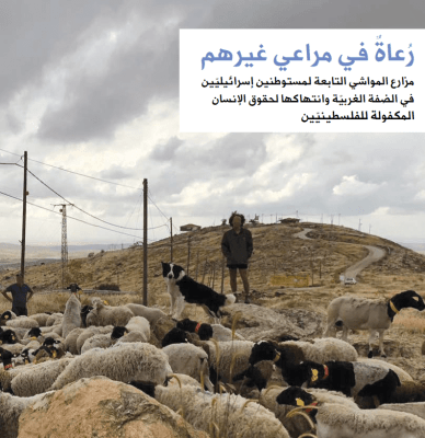 رعاة في مراعي غيرهم: مزارع المواشي التابعة لمستوطنين إسرائيليين في الضفة الغربية ونتهاكها لحقوق الإنسان المكفولة للفلسطينيين