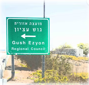 عمل فريق الخط الأخضر في "غوش عتسيون"