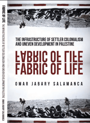 Fabric of life: the infrastructure of settler colonialism and uneven development in Palestine