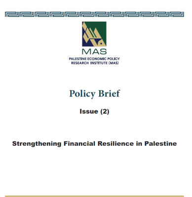 Strengthening Financial Resilience in Palestine - Policy Brief (2)