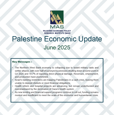 Palestine Economic Update - June 2025