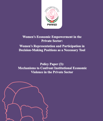 Mechanisms to Confront Institutional Economic Violence in the Private Sector - Policy Paper 3