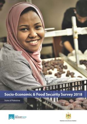 Socio-Economic &amp; Food Security Survey 2018