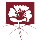 اللجنة الفنية لشؤون المرأة